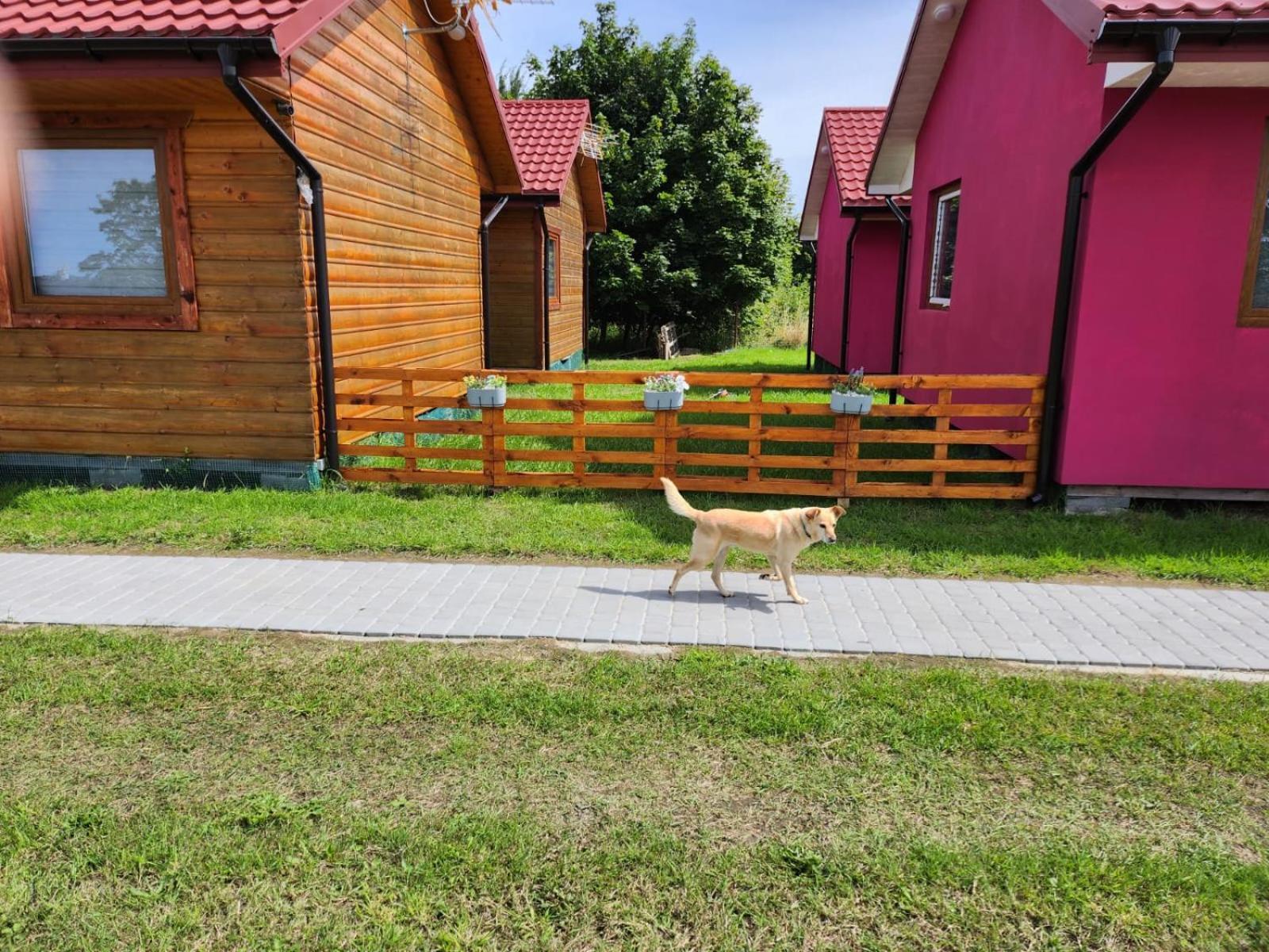Domki Letniskowe U Zuni Chlopy Exterior photo